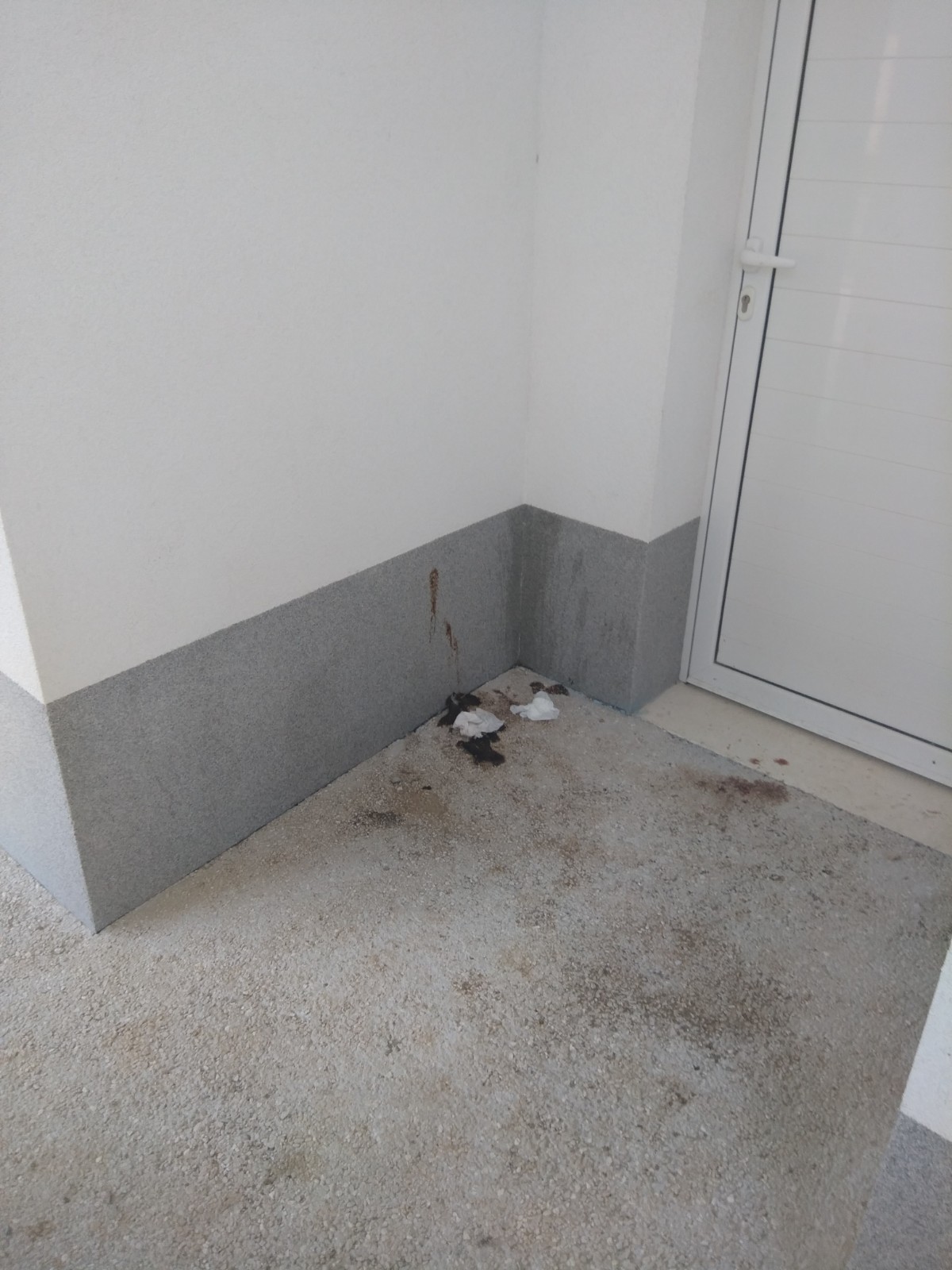 strozanac plaza vandali4