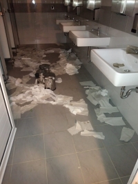 Vandalizam na plaži u Strožancu