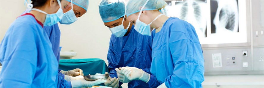 Svjetski poznati kardiokirurzi u Podstrani