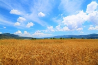izvor: Općina Podstrana