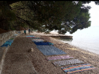 Uredno zauzeta plaža, molimo bez prigovora