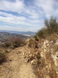 Foto kritika s Peruna