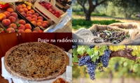 Poziv na radionicu potencijalnm članovima LAGa sa prostora Podstrane.