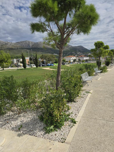 OBNOVLJENA HORTIKULTURALNA POVRŠINA NA ŠETNICI VLADIMIRA VUKOVIĆA VATE