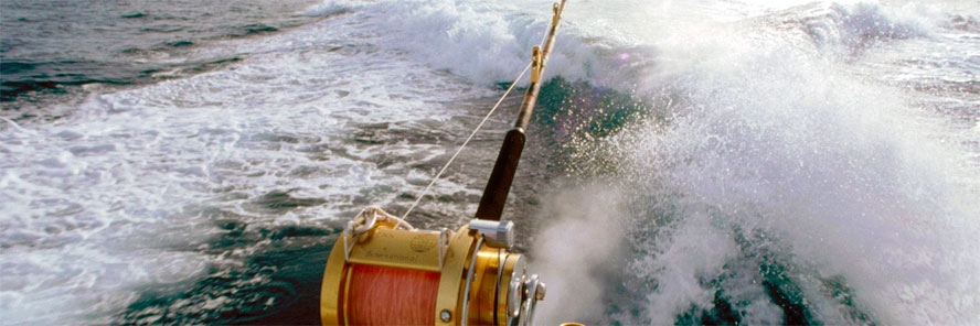 ŠPRD Porat Podstrana na međunarodnom natjecanju