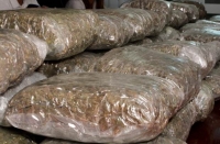 Albanski krijumčari u strahu od policije bacaju u Jadran pakete marihuane