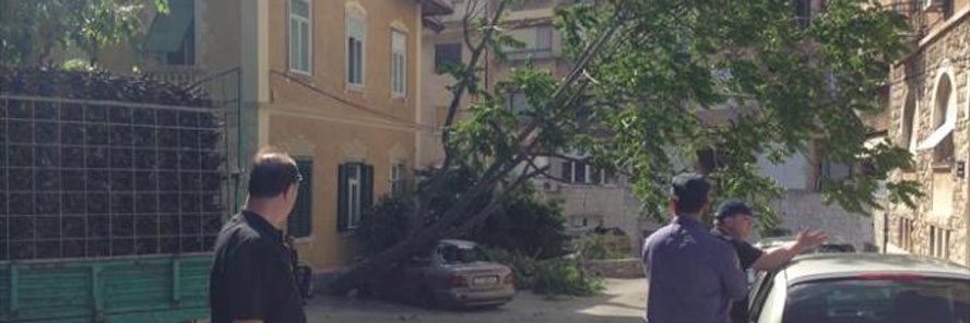 Stablo palo na automobil u centru Splita i potpuno ga demoliralo - nije bilo prolaznika