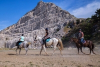 Izmjenjeno je mjesto održavanja škole jahanja koja će se održati ovu nedjelju